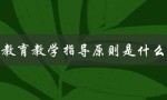 教育教学指导原则是什么（教育教学期刊级别）