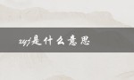 xyj是什么意思（xyj在饭圈代表什么）