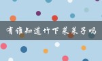 探寻竹下菜莱子的成长历程与作品特色