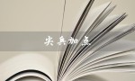 尖兵加点（尖兵加点顺序是什么）