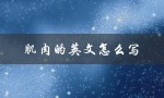 肌肉的英文怎么写（鸡肉英文怎么写）