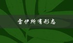雷伊所有形态（雷伊的形态和技能是什么）