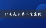 什么是公共卫生系统（重要性和功能）