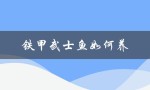 铁甲武士鱼如何养（铁甲武士鱼养殖技巧）