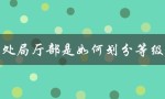 科处局厅部等级划分的标准和特点