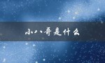 小八哥是什么（小八哥是什么动物）