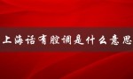 上海话有腔调是什么意思（上海话腔调是啥）