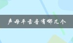 声母平舌音有哪几个（声母平舌音有哪些）