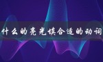 什么的亮光填合适的动词（什么亮光填动词）