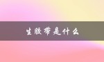 生胶带是什么（生胶带长什么样）