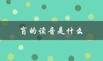 盲的读音是什么（盲人的读音是什么）