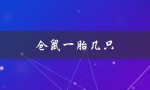 仓鼠一胎几只（仓鼠一年几胎）