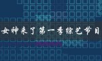 女神来了第一季综艺节目（女神与奇葩的综艺节目是什么）