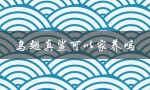 乌翅真鲨的家养难度和注意事项