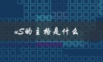 uS的主格是什么（英语us的主格是什么）