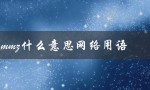 mmz什么意思网络用语（mmz网络用语的含义）