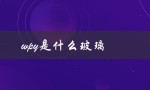 wpy是什么玻璃（wpy意思是什么）