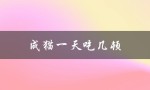 成猫一天吃几顿（成猫一天几餐）