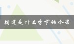 榴莲是什么季节的水果（金枕榴莲是哪个季节的水果）