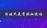 揭秘任氏家族的历史和血统传承