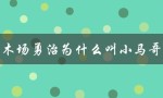 木场勇治的绰号来历及其背后的故事