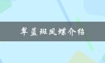 翠蓝斑凤蝶介绍（翠蓝斑凤蝶属于保护动物吗）