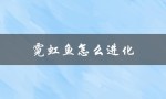 霓虹鱼怎么进化（霓虹鱼如何进化成小球飞鱼）