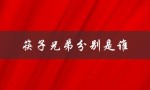 筷子兄弟分别是谁（筷子兄弟小苹果视频舞蹈是什么）