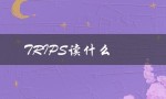 TRIPS读什么（trips应该怎么读）
