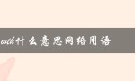 wth什么意思网络用语（解析及使用场景）