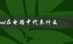 vout在电路中代表什么（输出电压）