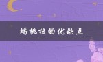 蟠桃核的优缺点（蟠桃核手串长什么样）