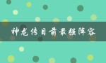 神龙传目前最强阵容（云顶神龙传谁最强）