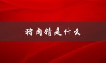 猪肉精是什么（猪肉精由何制成）