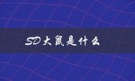 SD大鼠是什么（sd大鼠是什么）