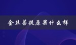金丝菩提原果什么样（金丝果菩提的寓意是什么）