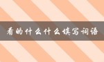 看的什么什么填写词语（什么内容填写词语）