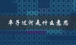 卒子过河是什么意思（卒子过河，何谓卒子）