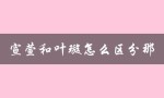 宣萱和叶璇怎么区分那（如何区分叶璇、宣萱和佘诗曼）
