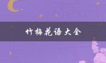 竹梅花语大全（花语大全及其含义）