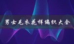 男士毛衣花样编织大全（男士毛衣花样全图解）