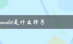 panabit是什么牌子（网络管理软件厂商）