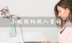 小规模纳税人查询（如何查询小规模纳税人官网）