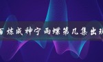 百炼成神宁雨蝶第几集出现（神秘女子的身份揭晓）