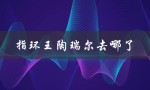 指环王陶瑞尔去哪了（陶瑞尔去哪了）