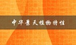 中华景天植物特性（什么是中华景天植物）