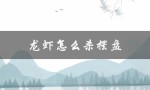 龙虾怎么杀摆盘（如何杀龙虾）