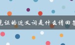见证的近义词是什么请回答（见证的近义词是什么）