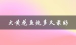 大黄花鱼炖多久最好（黄花鱼炖多久最好吃）