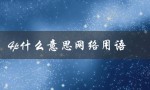 4p什么意思网络用语（1和0网络用语是什么）